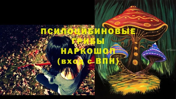 ECSTASY Абдулино