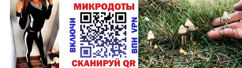что такое   KRAKEN   Галлюциногенные грибы Psilocybe  Костомукша 